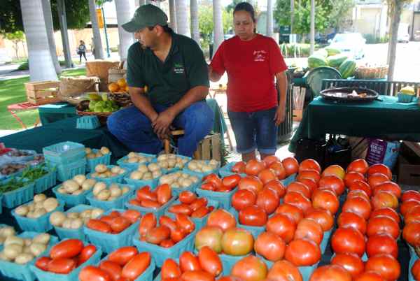 Jerry Sanchez of Homestead offered a huge variety of produce — tomatoes, cukes, baby eggplant and more. 