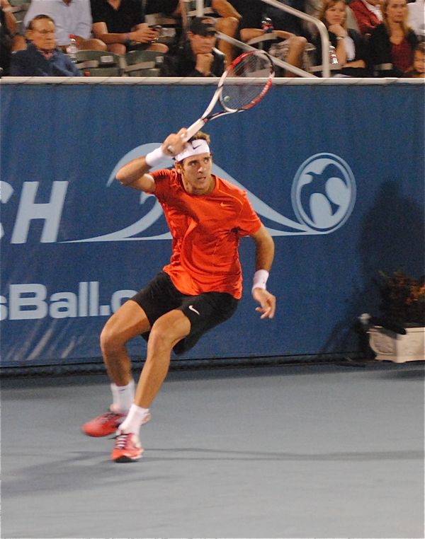 Juan Martin del Potro against Mardy Fish Saturday night. 
