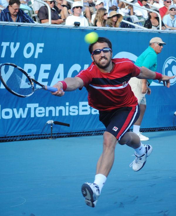 Serbia's Janko Tipsarevic has his chances to win his first ATP champsionship against Juan Martin del Potro.