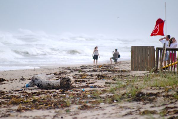 Delray's munipal beach was pretty much deserted Friday with the exception of a few site seers. A flag advising swimers to stay out of the water flew at the lifeguard station. 