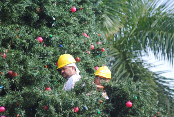 A crew from Meisner Electric put the final touches on the outside of Delray Beach's 100-foot holiday tree. 